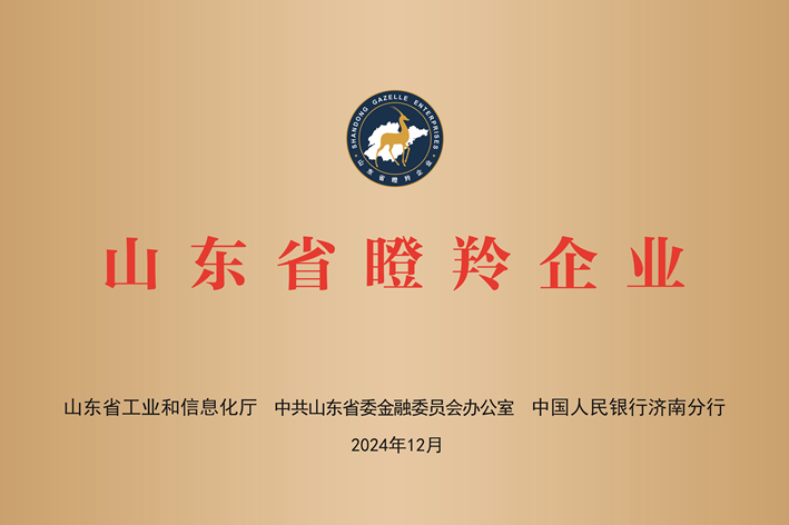 山東瞪羚企業(yè)2-山東盛和電子有限公司.png